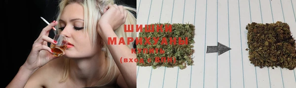 молекула духа Сатка