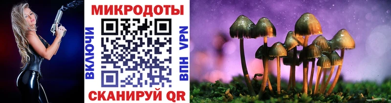 hydra как зайти  где найти   Зеленодольск  Псилоцибиновые грибы Psilocybine cubensis 